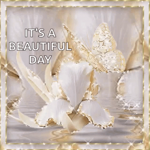 Its A Beautiful Day Sparkles GIF - Its A Beautiful Day Sparkles Glitter GIFs
