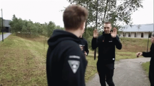 Dupreeh Astralis GIF - Dupreeh Astralis Hands Up GIFs
