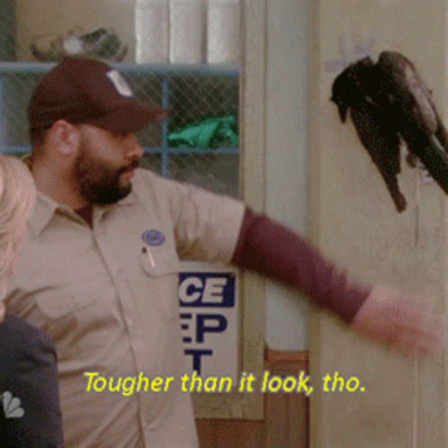 Parks And Rec Recreation GIF - Parks And Rec Recreation GIFs