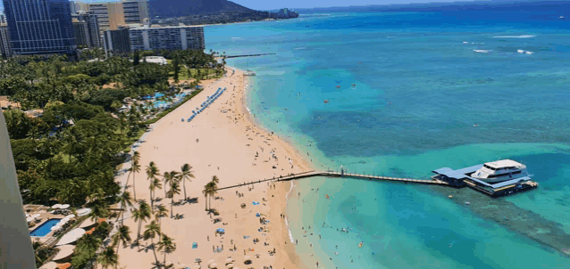 an aerial view of a beach with palm trees and a dock