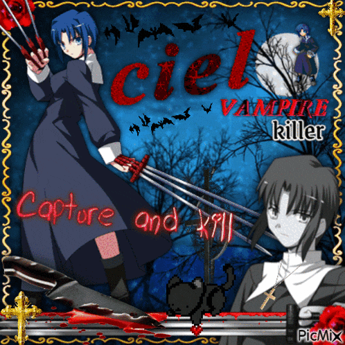 a poster for ciel vampire killer shows a girl holding swords