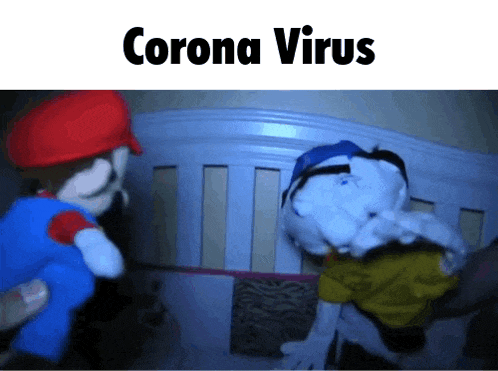 a couple of stuffed animals standing next to each other with the words corona virus written above them