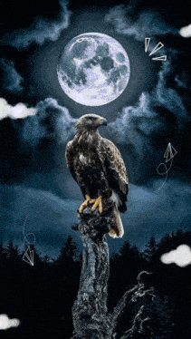 an eagle perched on a tree branch with a full moon behind it