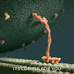 a close up of a cell with the words `` it 's coming for you ''