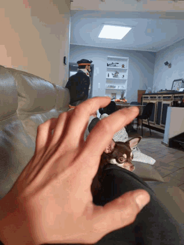 a person holding a small dog on a couch in a living room