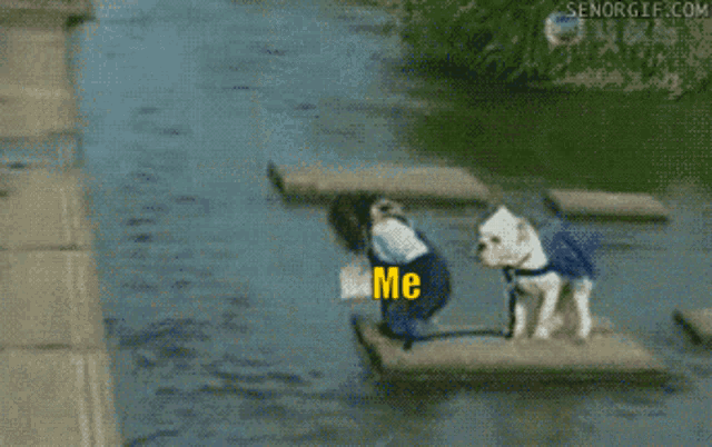 a small white dog wearing a blue shirt with the word pepper hand on it