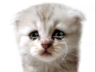 a white kitten is crying with tears running down its face