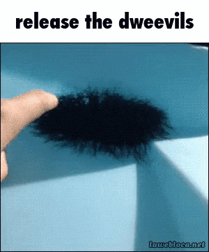 a picture of a person holding a black feather with the words release the dweevils