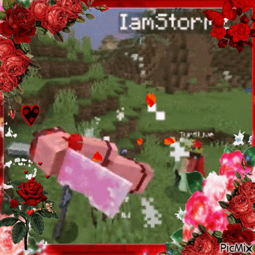 a picture of a video game with the name iam5storm on the top