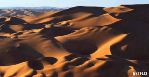 Desert Our Planet GIF - Desert Our Planet From Deserts To Grasslands GIFs