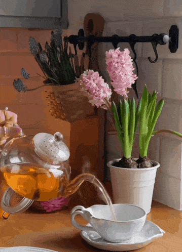 a cup of tea is being poured from a glass teapot next to a potted plant