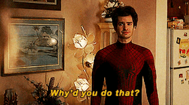 Spider Man Whyd You Do That GIF