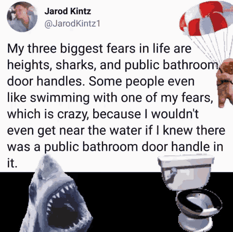 a picture of a shark a toilet and a parachute with the caption " my three biggest fears in life are heights "