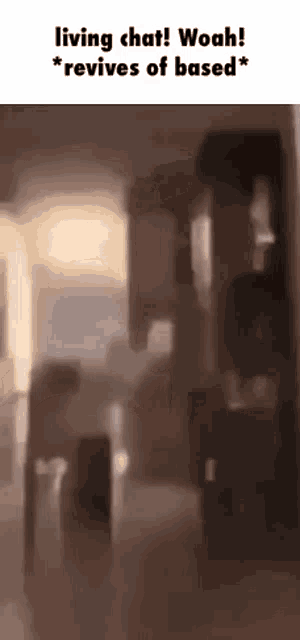 a blurry picture of a living room with the words `` living chat ! woah ! '' written on it .