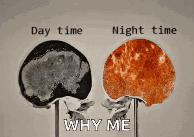 a black and white image of a brain with the words `` day time '' and `` night time '' next to it .