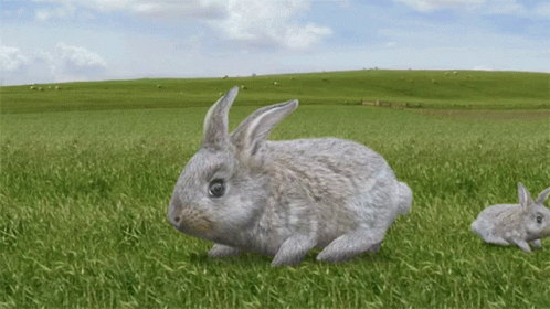 Cyriak Bunny GIF - Cyriak Bunny Never Ending GIFs