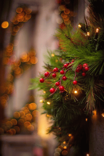 Christmastree GIF - Christmastree GIFs