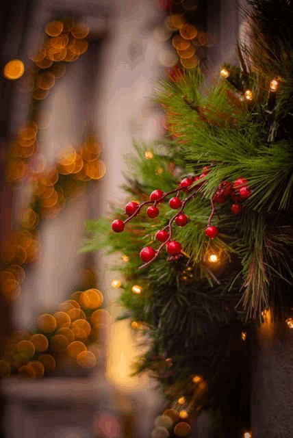 a close up of a christmas wreath with red berries and pine needles