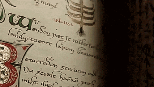 a close up of a page of a book that says " nolisi " on it