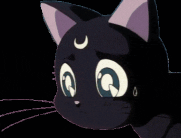 a close up of a black cat with a crescent moon on its head
