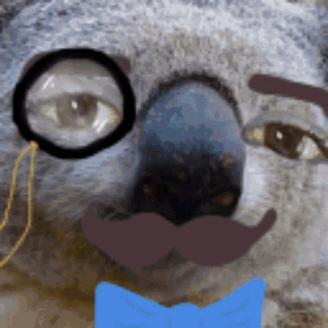 a close up of a koala wearing glasses and a mustache