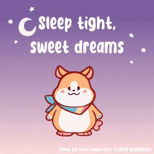 a picture of a hamster with the words sleep tight sweet dreams on it