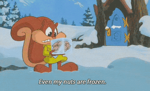a cartoon squirrel says " even my nuts are frozen " in the snow