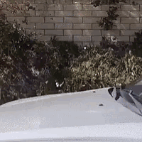 a car is parked in front of a brick wall