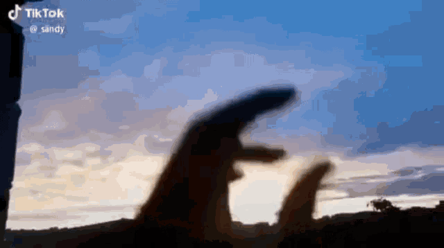 a person is holding their hands up in front of a sunset .