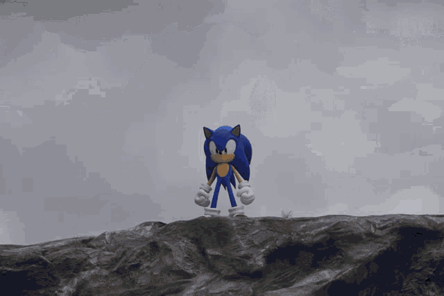 a close up of a sonic the hedgehog with a gray background