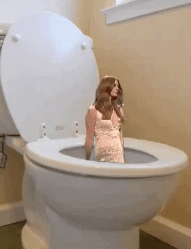 Lana Del Rey Plumbing GIF - Lana Del Rey Plumbing Toilet GIFs