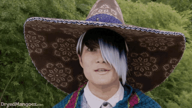 a person wearing a sombrero with the website dryedmangoez.com visible