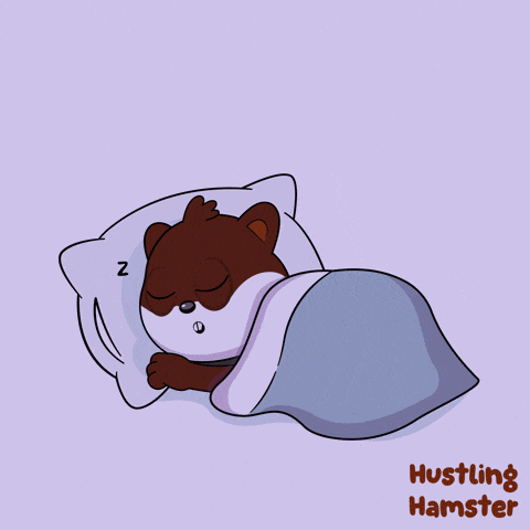 a cartoon drawing of a hamster sleeping with the words hustling hamster on the bottom