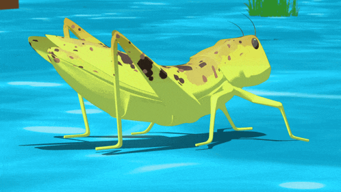 a cartoon grasshopper is walking on the water