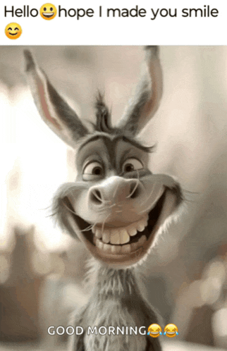 a picture of a donkey smiling with the words hello hope i made you smile good morning