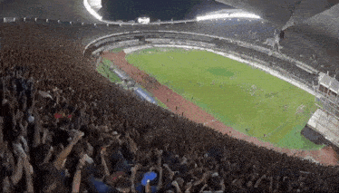 a crowd of people watching a soccer game at a stadium