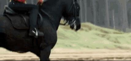 a person is riding a black horse in a field .