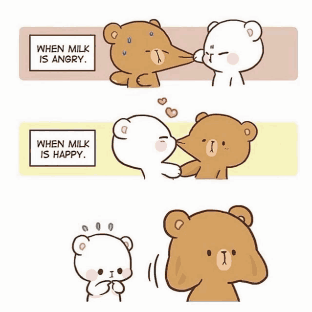 a cartoon of two teddy bears kissing with the caption when milk is angry and when milk is happy