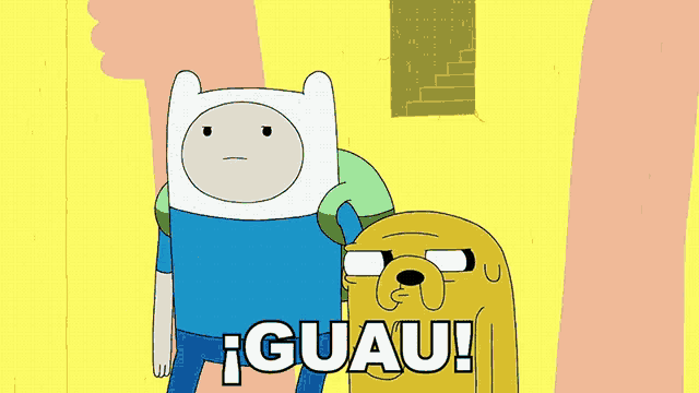 finn and jake from adventure time are standing next to each other and one of them is saying iguau