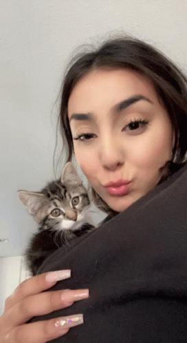 Goodmorning Kitty GIF - Goodmorning Kitty GIFs