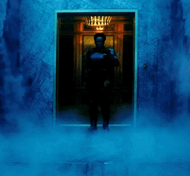 a person standing in front of a door with a chandelier hanging from it