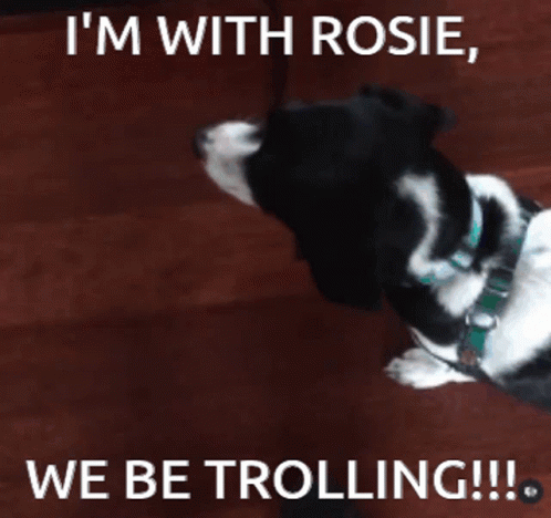 Im With GIF - Im With Rosie GIFs