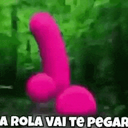 a pink penis is sitting in the grass with the words `` a rola vai te pegar '' .