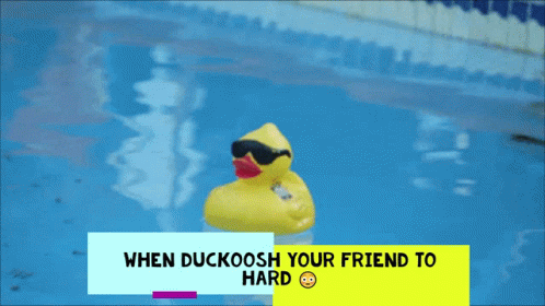 Duckooshfriendtohard GIF - Duckooshfriendtohard GIFs