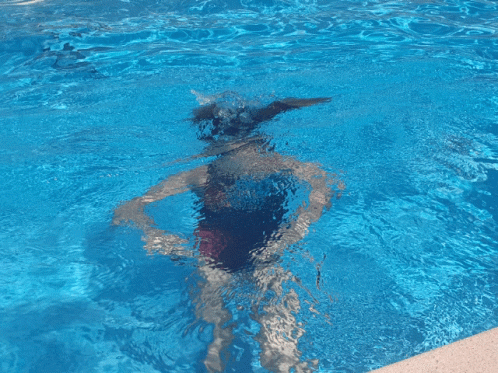 Water Swimming Pool GIF - Water Swimming Pool Piscine GIFs