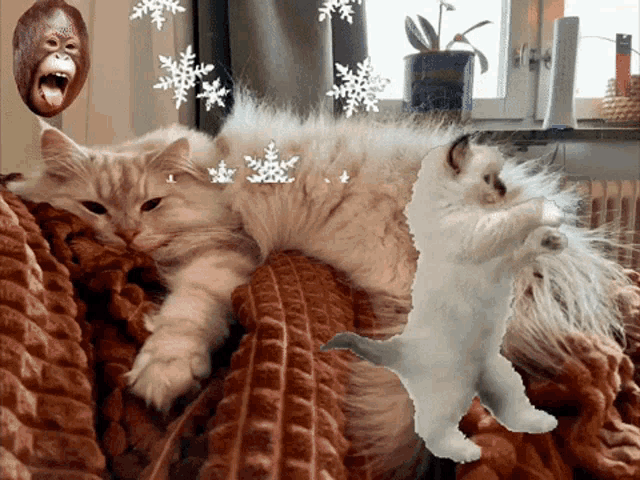 two cats are laying on a couch with a monkey face on the wall