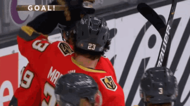 a hockey player with the number 23 on his helmet is celebrating a goal