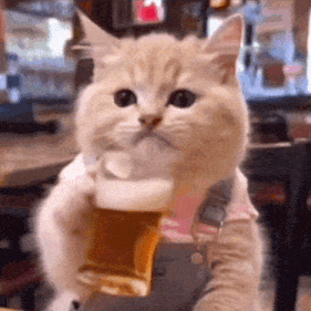 a cat is holding a glass of beer in its paw .