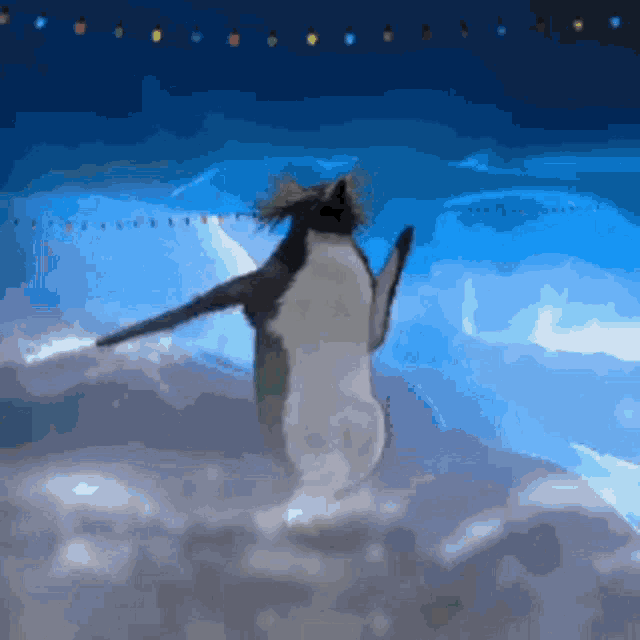 Penguin Dancing GIF - Penguin Dancing GIFs