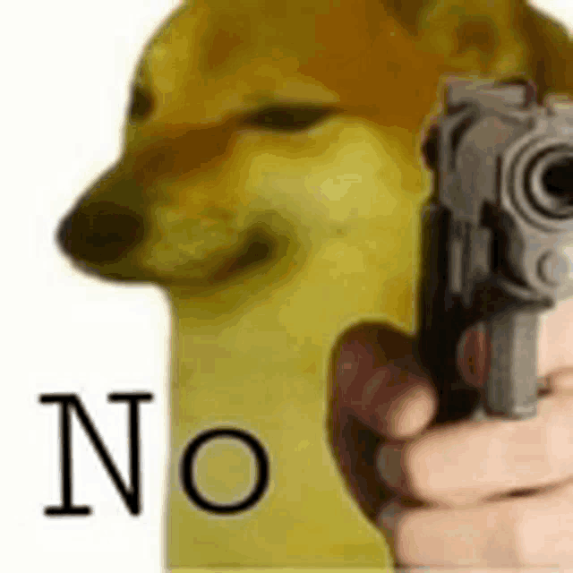 a person is holding a gun in front of a dog that says no .